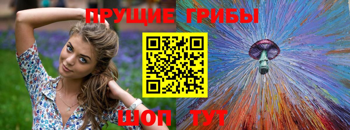 Пенза  Псилоцибиновые грибы ЛСД  Псилоцибиновые грибы ЛСД  Вход с VPN 